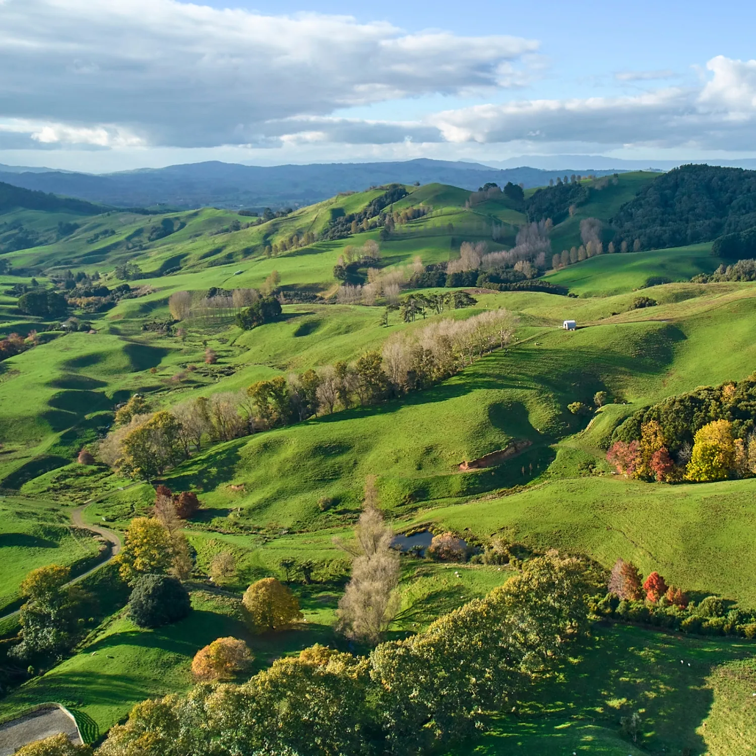 Sierras de otoño · campo extensivo
